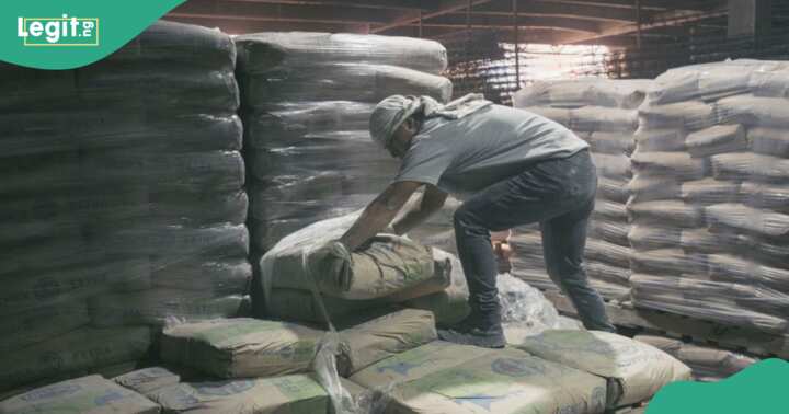 “No More N12k/Per Bag:” Survey Shows Dangote, BUA, Others Crash Cement Prices to New Low