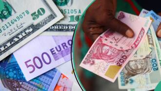 New Exchange Rate As Naira Bounces Back, Rises by Over N46 Against US Dollar