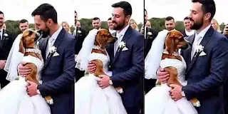 “The World is Coming to an End”: Man Marries Dog in Lavish Ceremony, Sparks Outrage Online