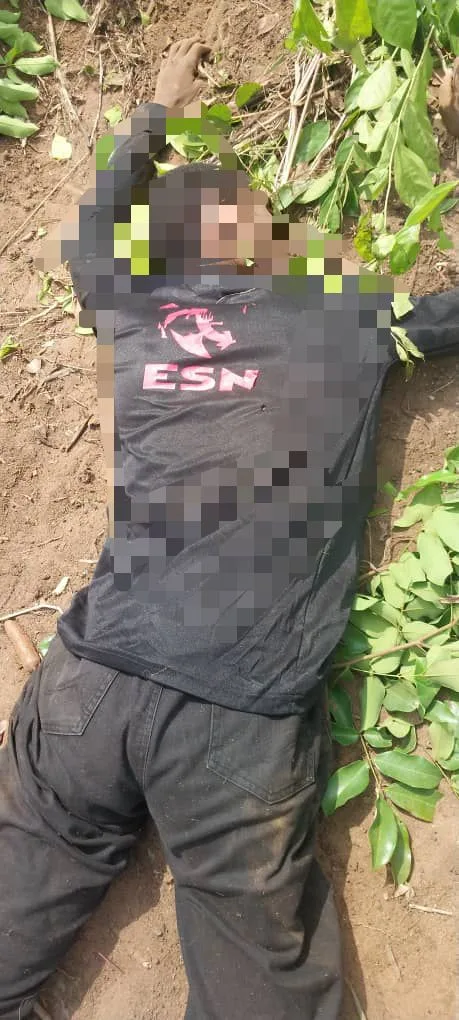 Terrorism: Police Neutralizes ESN Terrorist Kingpins, Destroys Deadly Camps In Imo