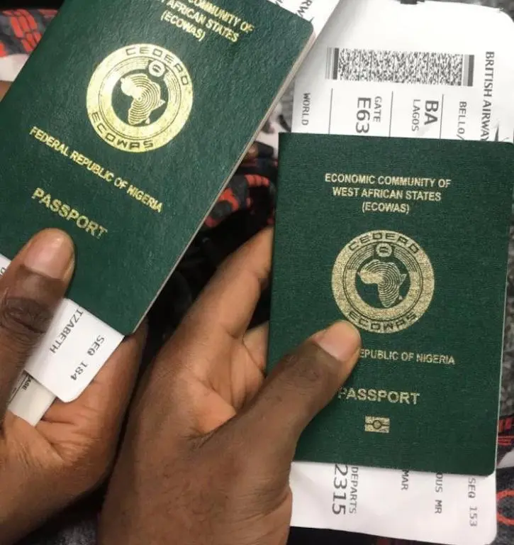 Japa from Sapa: Out of the Kettle, Into the Blaze