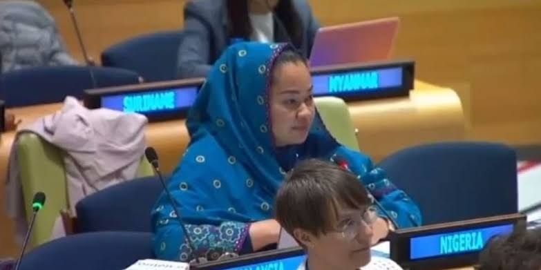 Federal Govt investigating Natasha Akpoti-Uduaghan’s unauthorised attendance at IPU meeting