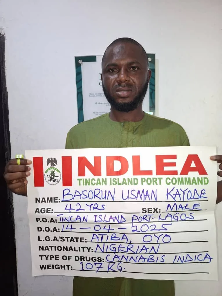 NDLEA intercepts cocaine in Saudi-bound religious books, arrests bandits’ supplier with drugs in private part. Recovers 563kg skunk, meth, heroin in Bayelsa warehouse, arrests 4; destroys cannabis farms in Edo forest