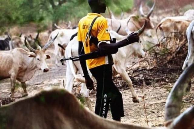 Many feared killed as herders renew attacks on Benue community