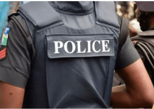 No Fulani herders attack in Enugu – Police