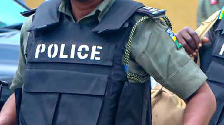 Police identify officers accused of extorting N3.3m from couple in Lagos